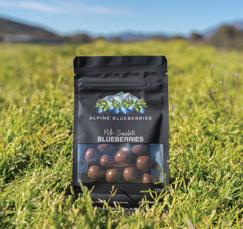 Chocolate Coated Blueberries (Milk)