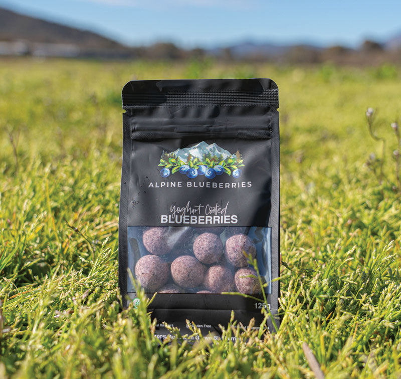 Chocolate Coated Blueberries (Yoghurt)